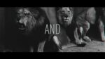 Me The Tiger – Hollow – Official Lyric Video