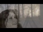 Kontrast – Plänterwald