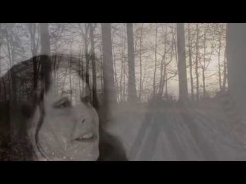 Kontrast – Plänterwald