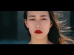 T.O.Y. – Fragile