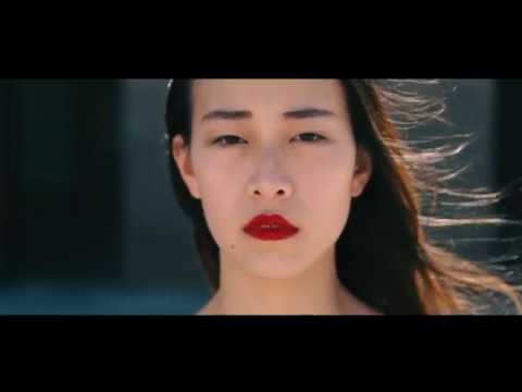 T.O.Y. – Fragile