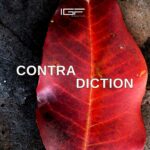 In Good Faith – Contradiction