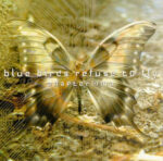Blue Birds Refuses To Fly – Anaptar Ma
