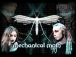 Mechanical Moth im Interview