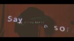 Station Echo – Say You’re Sorry