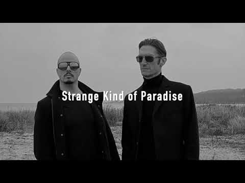 Cold Connection – Strange Kind of Paradise