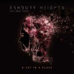 Ashbury Heights – A Cut In A Place
