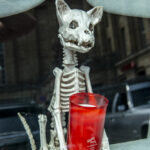 Leichenwagen Treffen – WGT 2022 04.06.22