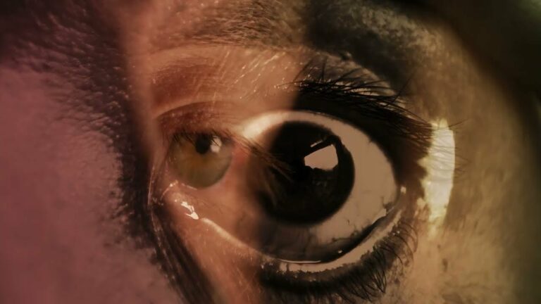 Chainreactor – Pain Has A Face