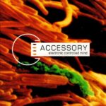 Accessory – Electronic Controlled Mind