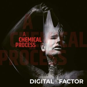 Digital Factor - A Chemical Process