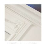 Fragrance. – Dust & Disorders