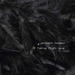 Janosch Moldau – I’m Falling From Love