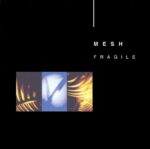 Mesh – Fragile