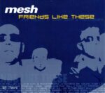Mesh – Friends Like These