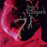 Project Pitchfork – Souls / Island