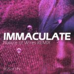 Sea Of Sin – Immaculate (Nature Of Wires Remix)