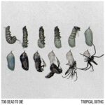Too Dead To Die – Tropical Gothic