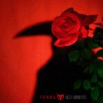 Torul – Best Moments