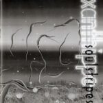 Xanthippe – Soulstripes