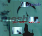 Mesh – You Didn’t Want Me