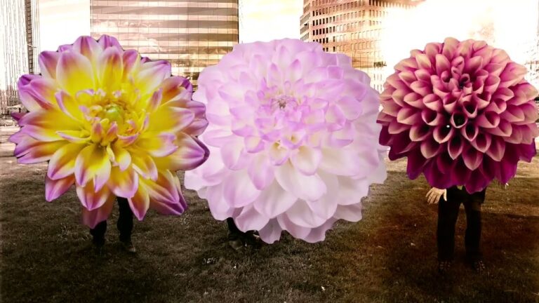 Twice A Man – Dahlia