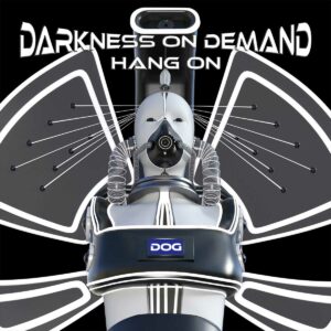 Darkness On Demand - Hang On (Winterhart remix)