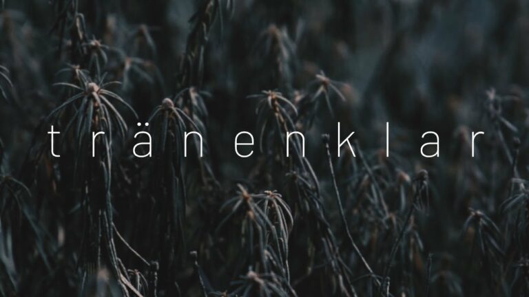 Diary of Dreams – tränenklar