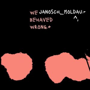 Janosch Moldau - We Behaved Wrong