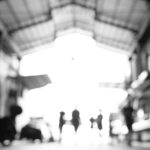 Morphose – The Open Shutter