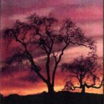 Shadows In The Dark – Trauerland