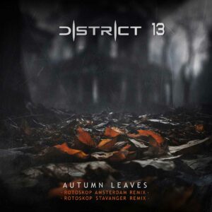 District 13 - Autumn Leaves (Rotoskop Remixes)