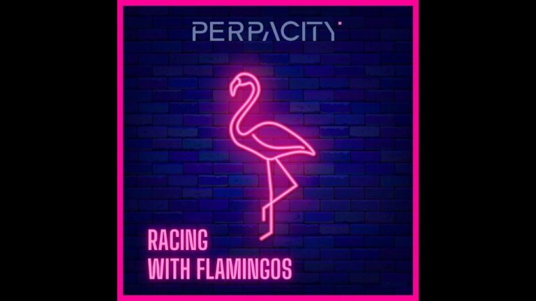 Perpacity – Racing With Flamingos (Official Video)