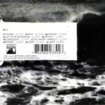 Assemblage 23 – Storm