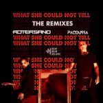 Beat Noir Deluxe – What She Could Not Tell (Remix-Edition)