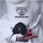 CattaC – Meaningless