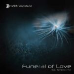 Elektrostaub Feat. Ruined Conflict – Funeral Of Love