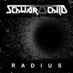 Schwarzschild – Radius