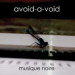 Avoid-A-Void – Musique Noire