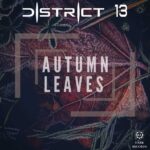 District 13 – Autumn Leaves