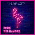 Perpacity – Racing With Flamingos