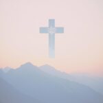 We The North – Vi