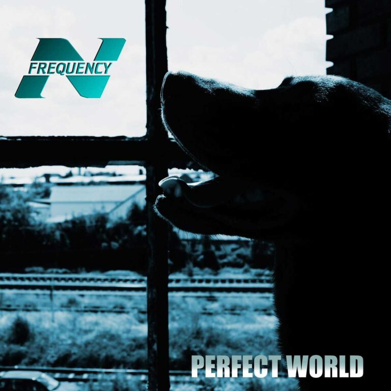 N-Frequency – Perfect World