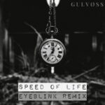Gulvøss – Speed Of Life (Eyeblink Remix)