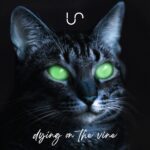 Unify Separate – Dying on the Vine