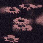 Vioflesh – Crimewave