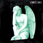 Vioflesh – Deja ser