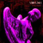 Vioflesh – Dreams