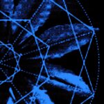 Vioflesh – Electricidad