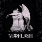 Vioflesh – Falls
